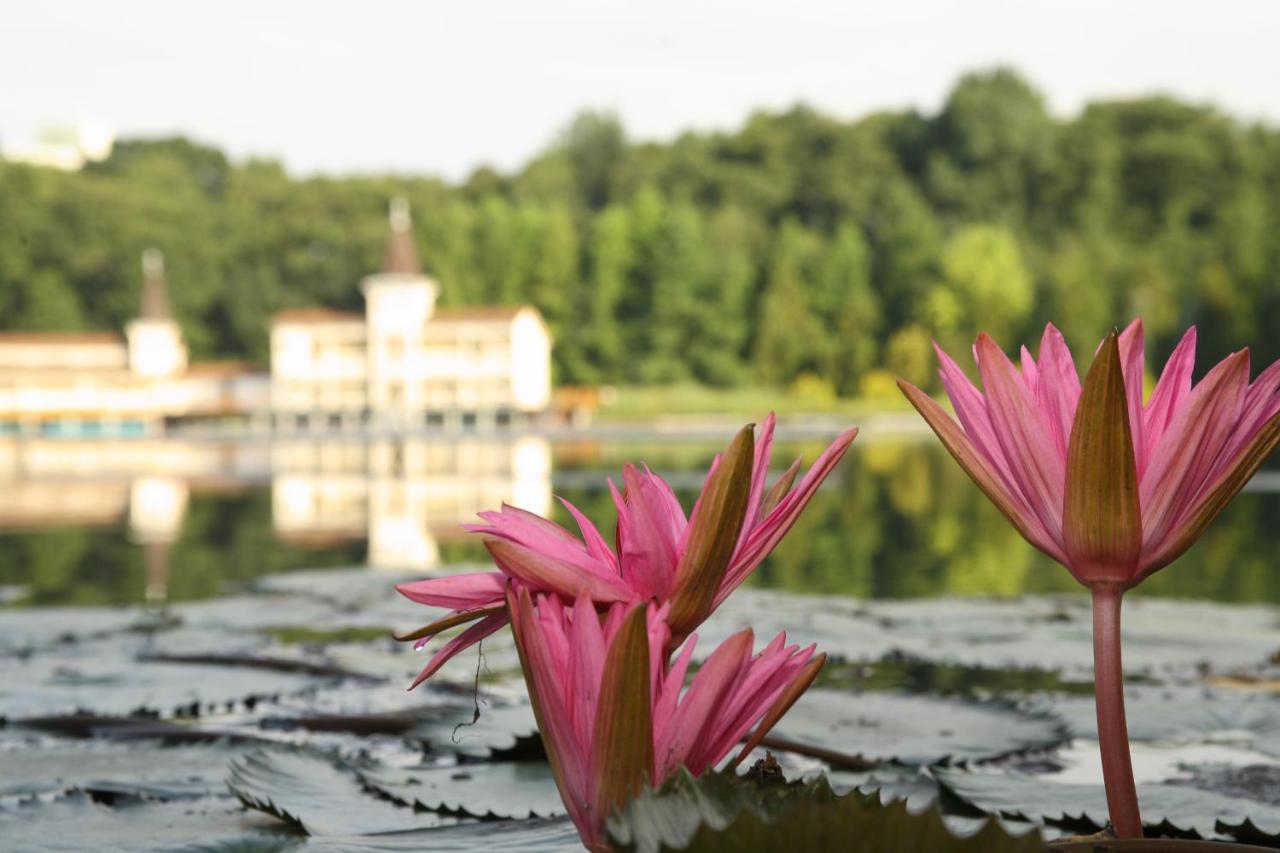 Piroska Villa เฮวิซ ภายนอก รูปภาพ