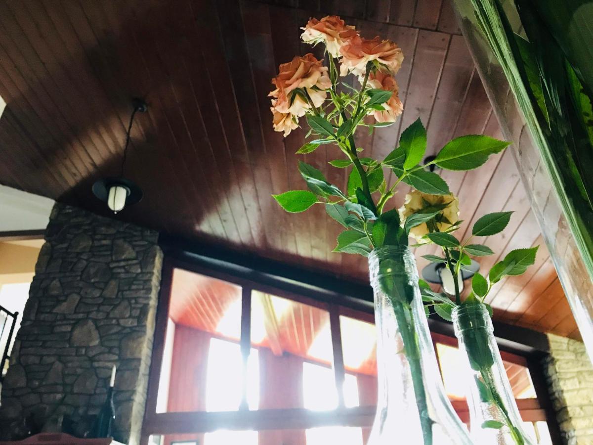 Piroska Villa เฮวิซ ภายนอก รูปภาพ