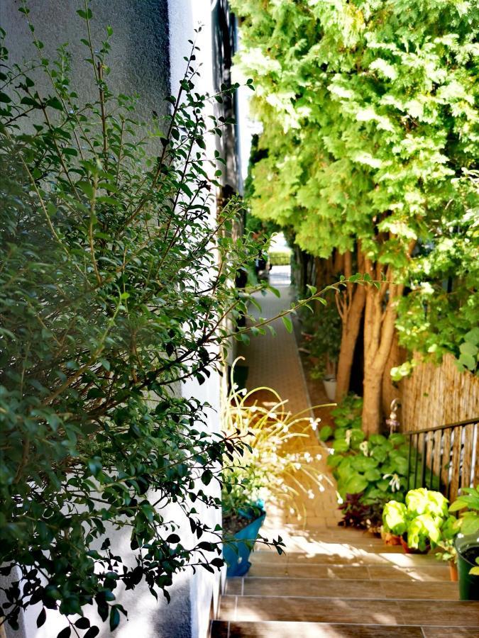 Piroska Villa เฮวิซ ภายนอก รูปภาพ